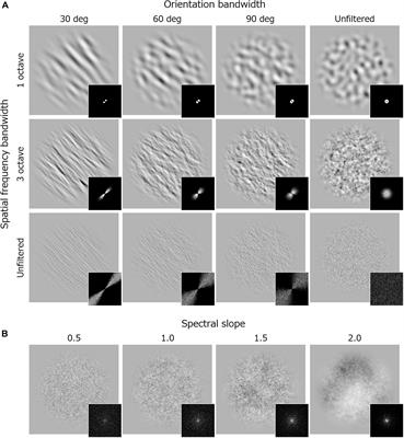 Differential Effects of Orientation and Spatial-Frequency Spectra on Visual Unpleasantness